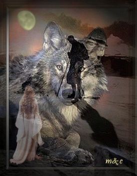 Canto della notte