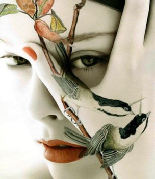 Contraddizione