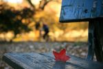 Il dolore ascolta