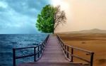 Barriera immutabile