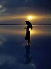 Vivere