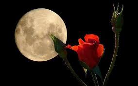 Il vento dell'amore