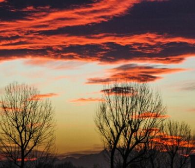 Sogni di dicembre