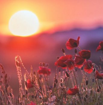 Il sole riposa