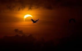 � del cuor la poesia
