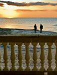 � dell'amore che il tempo si ciba