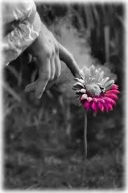 Sfiorare l�anima