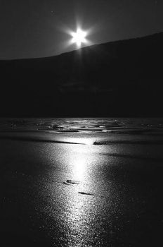 Nelle mani della notte