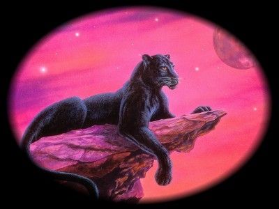Pantera nera