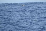 Ora, la, sul mare