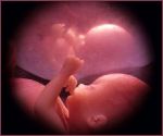 Il sogno di un bambino mai nato