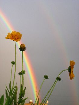 L'Arcobaleno