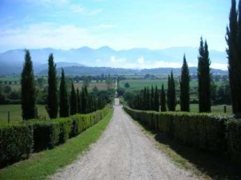 2 Novembre