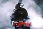 E il treno va