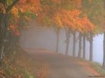 Era gi� inverno