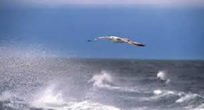 Con voi volo