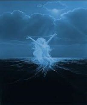 Quest'anima