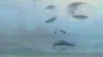 Un oceano di silenzio