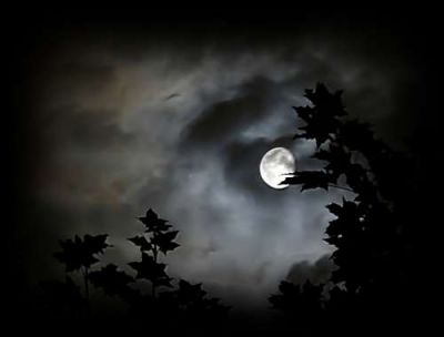 Nel gelo di una notte