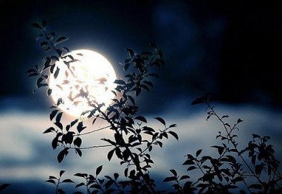 I miei sogni