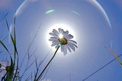 Tu sei luce