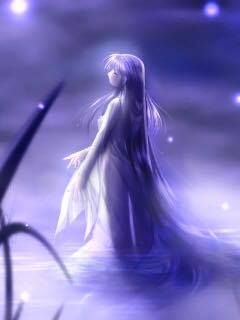 Luce