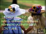 Amarezza