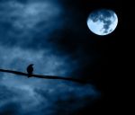Pur finir� la notte