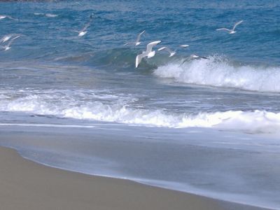 Sogni di libert�