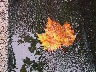 Colori d'autunno