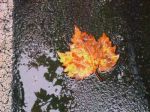 Colori d'autunno