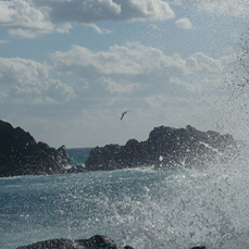 Tu sei il sogno