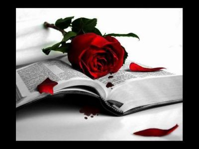 Emozioni... all�alba