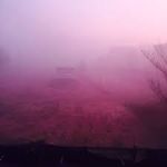 La nebbia rosa