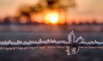 Fioccava la neve