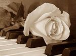 Mio pianoforte