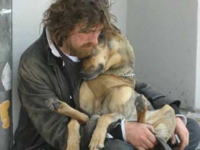 Amico cane