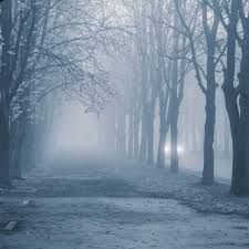 Nebbia