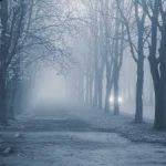 Nebbia