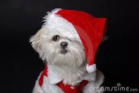 Il mio Natale