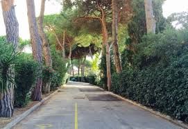 Un'estate esagerata