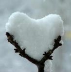 Il cuore dell'inverno