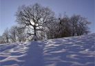 Il poeta e l'inverno
