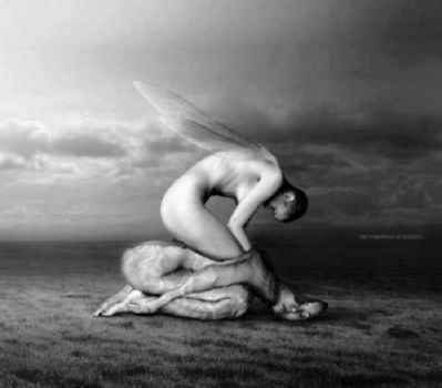 Soul (anima)