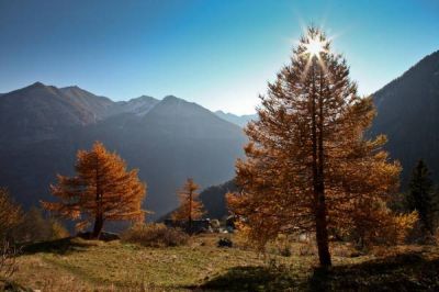 L’alto novembre