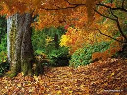 Forse l’autunno è dietro l’angolo