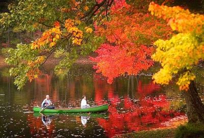 Sentore d’autunno