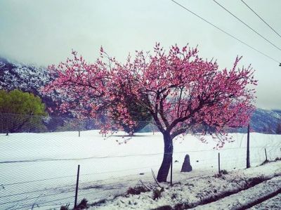 L’odore dell’inverno