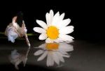 Anima dell'amore
