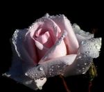 Per anni ho elemosinato amore